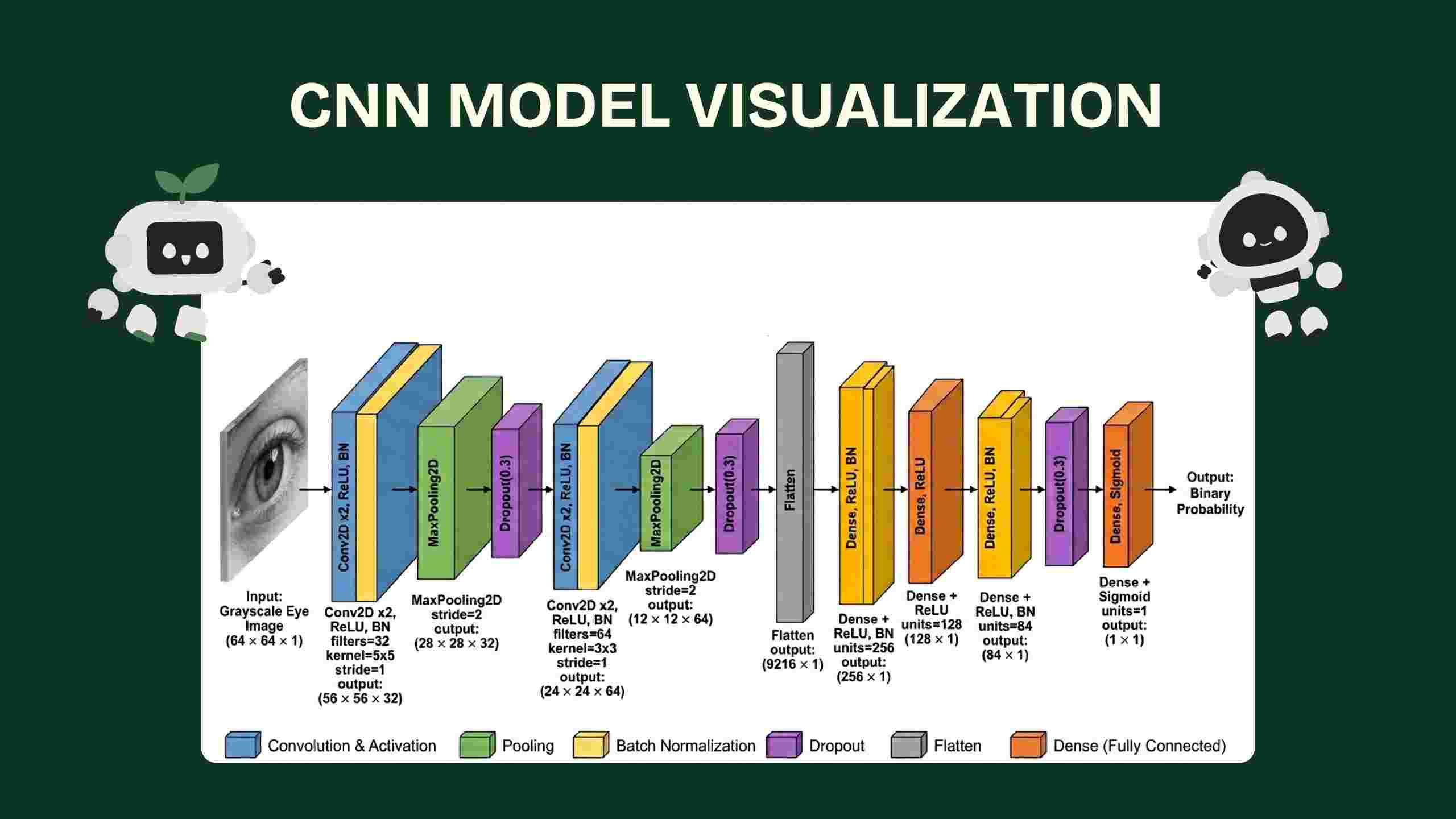 CNN Model Visualization